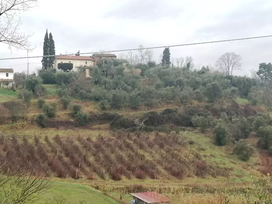 Immagine 2 di Porzione di casa in vendita  a Fucecchio