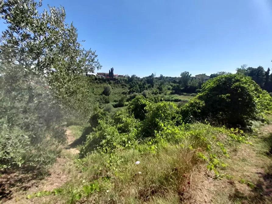 Immagine 5 di Porzione di casa in vendita  a Fucecchio
