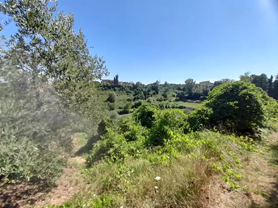Immagine 6 di Porzione di casa in vendita  a Fucecchio