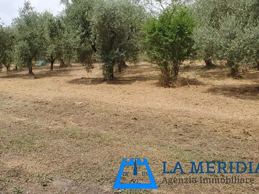 Immagine 27 di Casa indipendente in vendita  a Lamporecchio