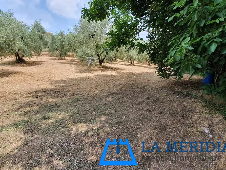 Immagine 28 di Casa indipendente in vendita  a Lamporecchio