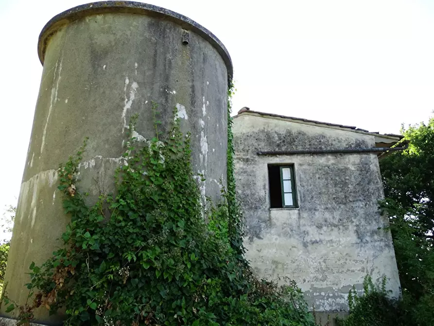 Immagine 21 di Villa in vendita  a San Miniato