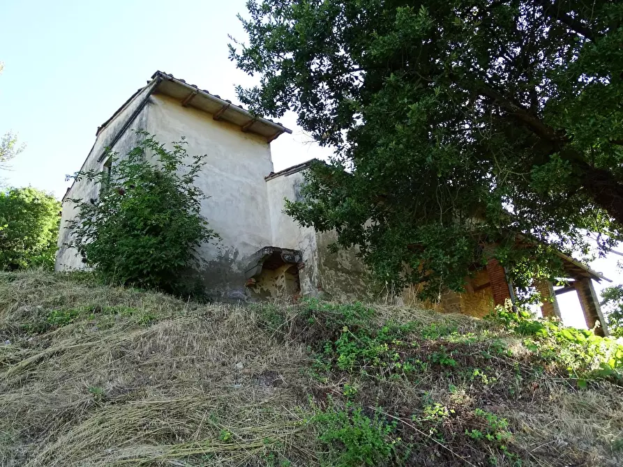 Immagine 24 di Villa in vendita  a San Miniato