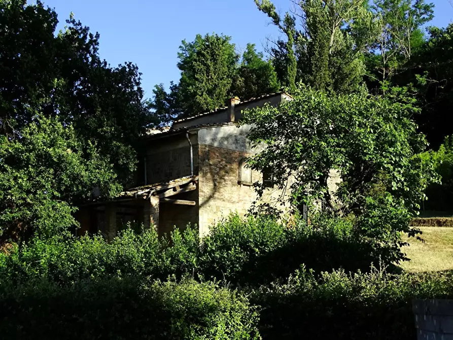 Immagine 15 di Villa in vendita  a San Miniato