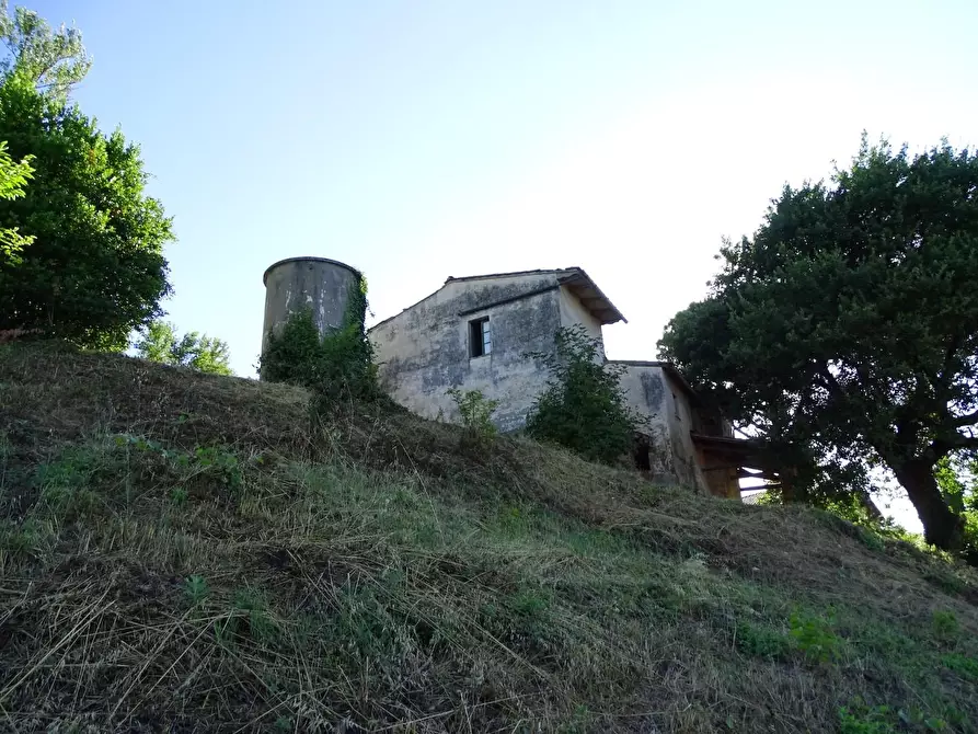 Immagine 23 di Villa in vendita  a San Miniato