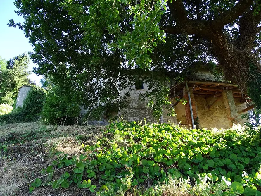 Immagine 25 di Villa in vendita  a San Miniato