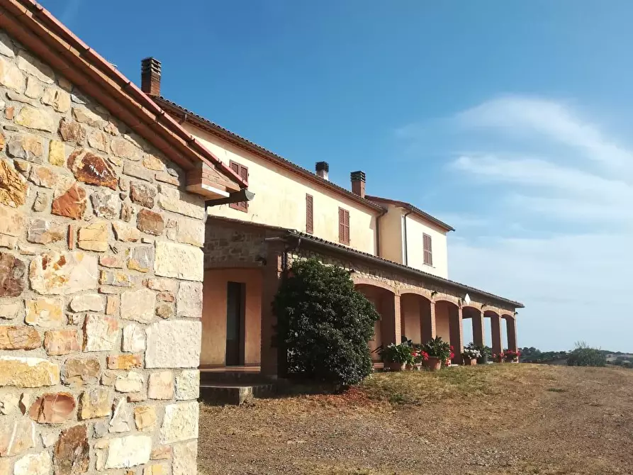 Immagine 3 di Casa colonica in vendita  a Manciano
