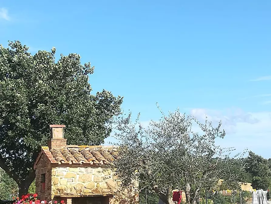Immagine 5 di Casa colonica in vendita  a Manciano