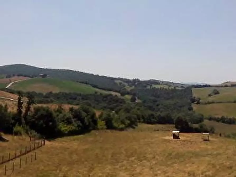 Immagine 23 di Casa colonica in vendita  a Manciano