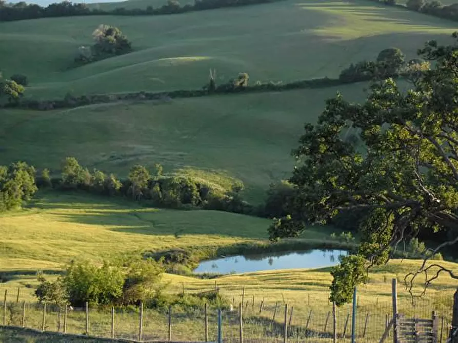 Immagine 15 di Casa colonica in vendita  a Manciano