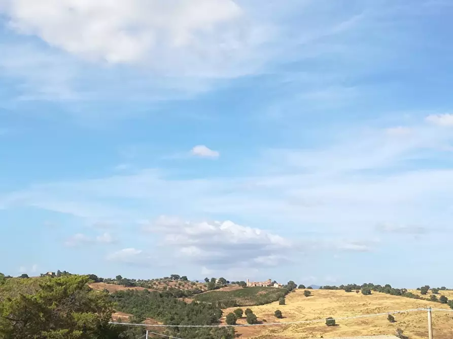 Immagine 20 di Casa colonica in vendita  a Manciano