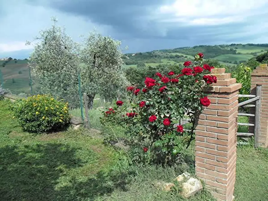 Immagine 11 di Casa colonica in vendita  a Manciano