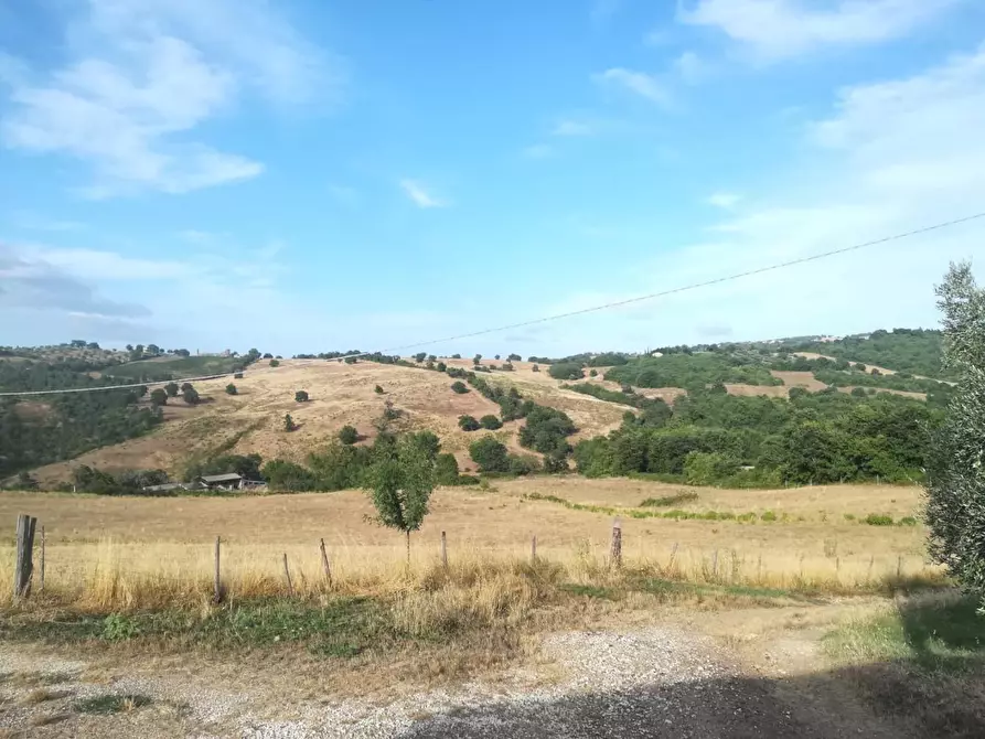 Immagine 25 di Casa colonica in vendita  a Manciano