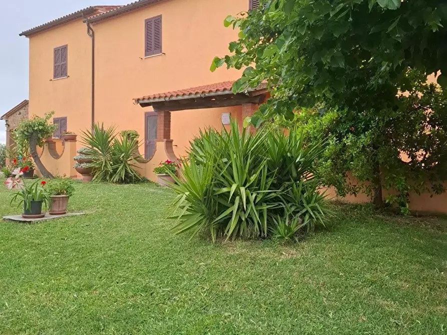 Immagine 8 di Casa colonica in vendita  a Manciano