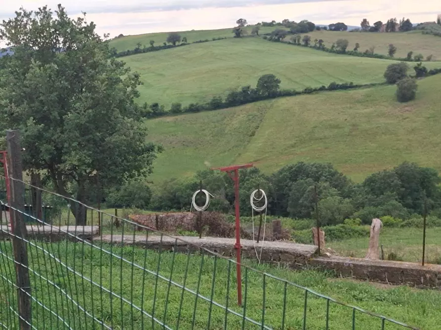 Immagine 14 di Casa colonica in vendita  a Manciano