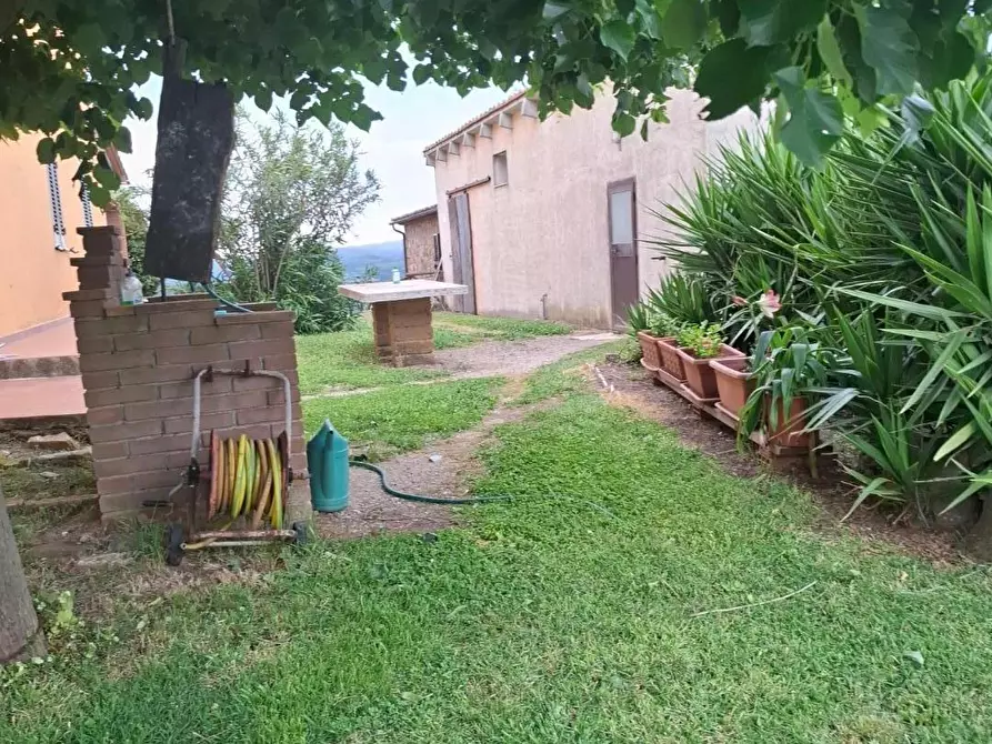 Immagine 12 di Casa colonica in vendita  a Manciano