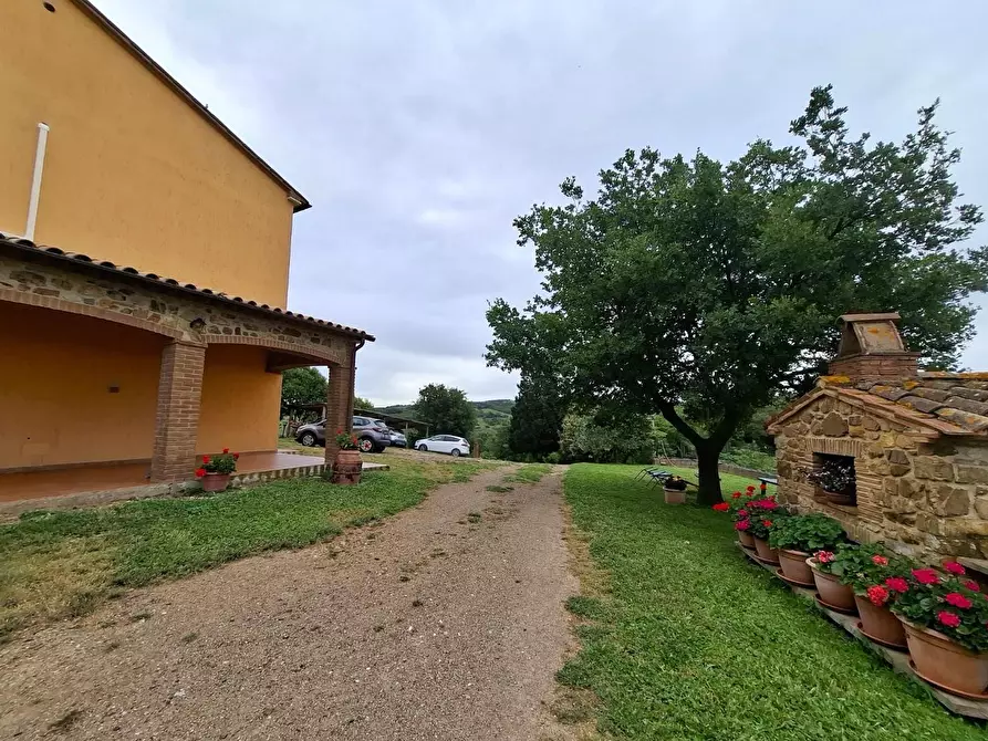 Immagine 7 di Casa colonica in vendita  a Manciano