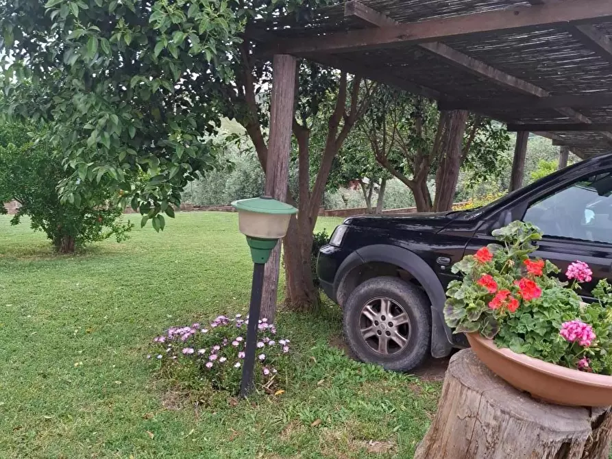 Immagine 10 di Casa colonica in vendita  a Manciano