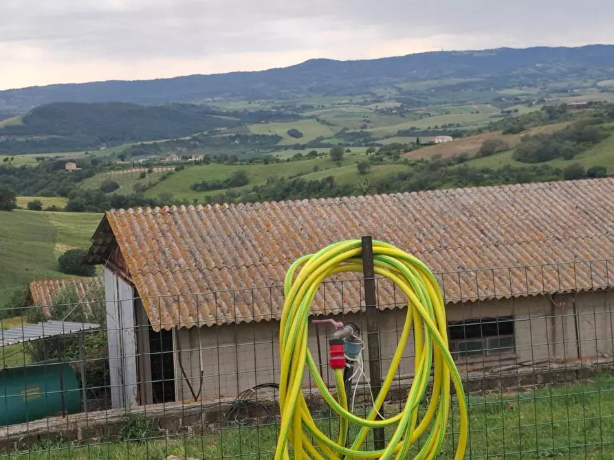 Immagine 13 di Casa colonica in vendita  a Manciano