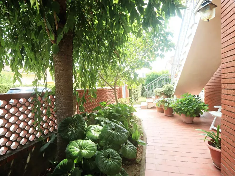 Immagine 27 di Casa indipendente in vendita  a Buti