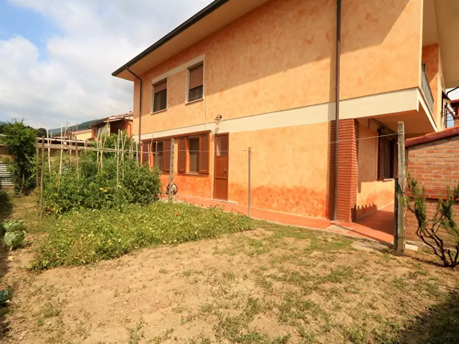 Immagine 24 di Casa indipendente in vendita  a Buti