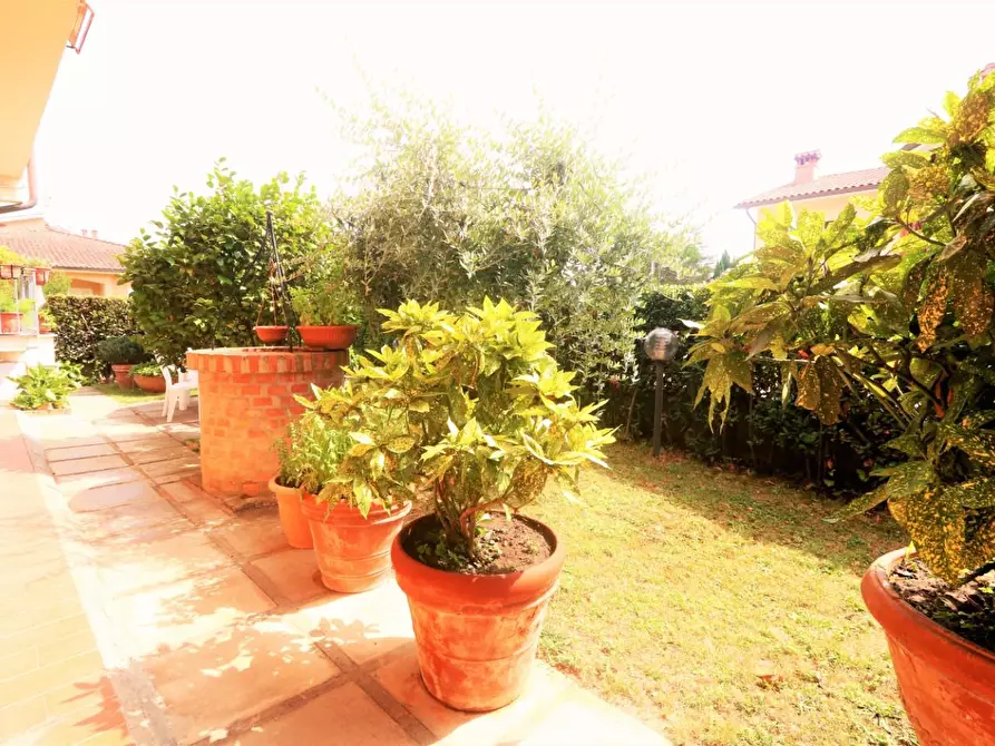 Immagine 23 di Casa indipendente in vendita  a Buti