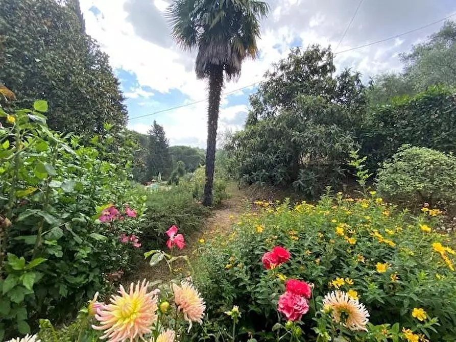 Immagine 18 di Rustico / casale in vendita  a Lucca