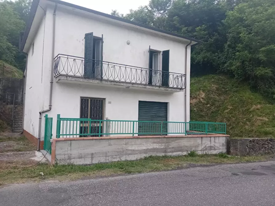 Immagine 1 di Villa in vendita  a Licciana Nardi