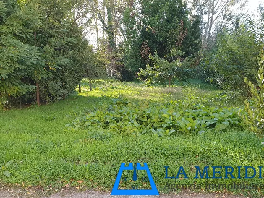 Immagine 39 di Terratetto in vendita  a Ponte Buggianese