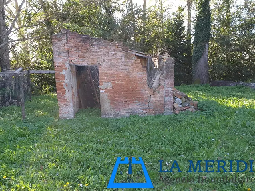 Immagine 40 di Terratetto in vendita  a Ponte Buggianese
