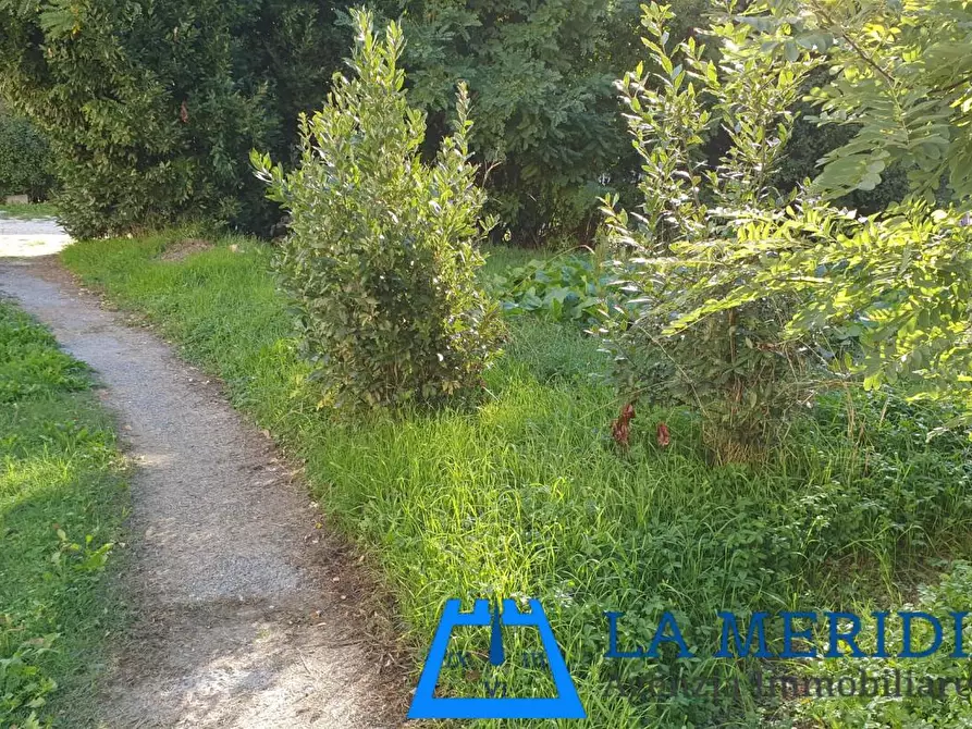 Immagine 35 di Terratetto in vendita  a Ponte Buggianese