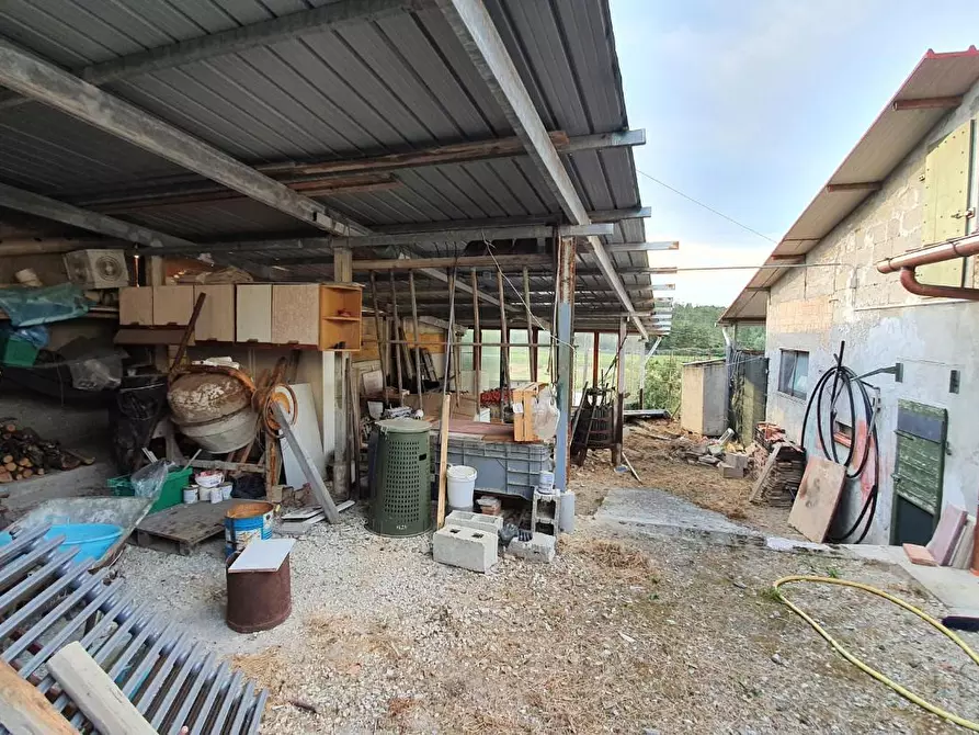 Immagine 16 di Attività artigianale in vendita  a Cerreto Guidi