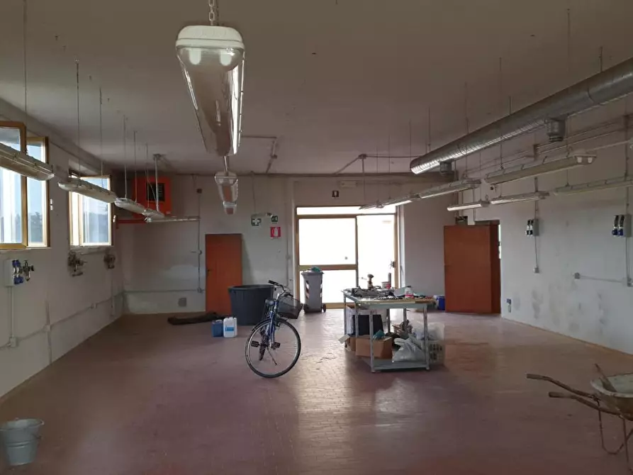 Immagine 11 di Attività artigianale in vendita  a Cerreto Guidi