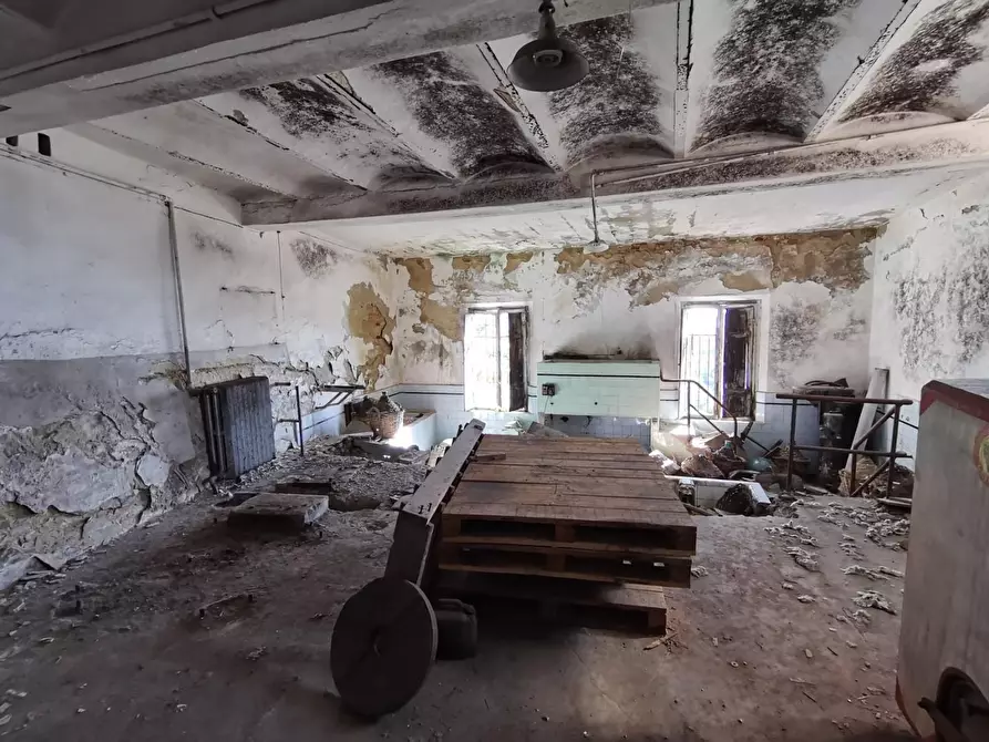 Immagine 22 di Palazzo in vendita  a Palaia