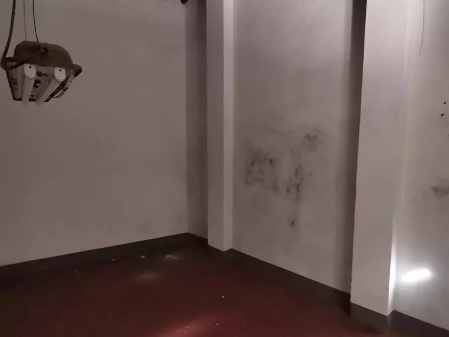 Immagine 19 di Palazzo in vendita  a Palaia