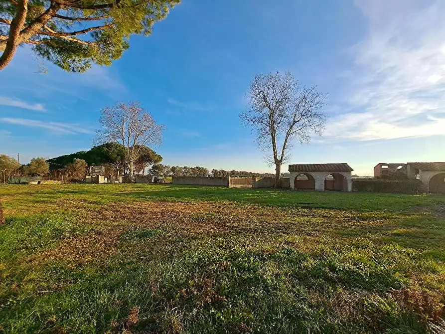 Immagine 18 di Villa in vendita  a San Giuliano Terme