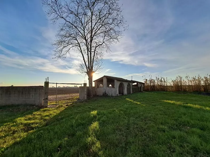 Immagine 17 di Villa in vendita  a San Giuliano Terme