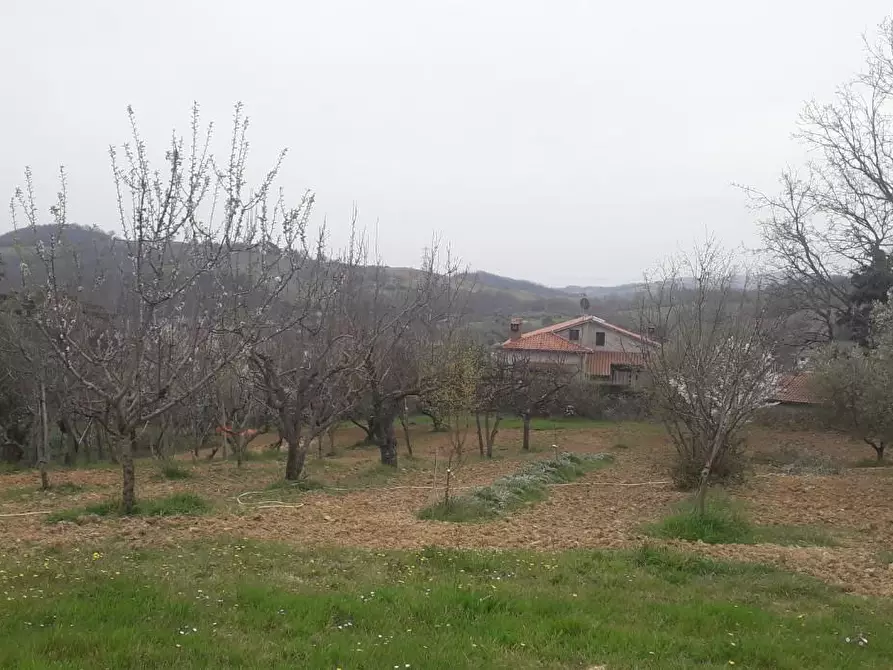 Immagine 24 di Casa indipendente in vendita  a Manciano