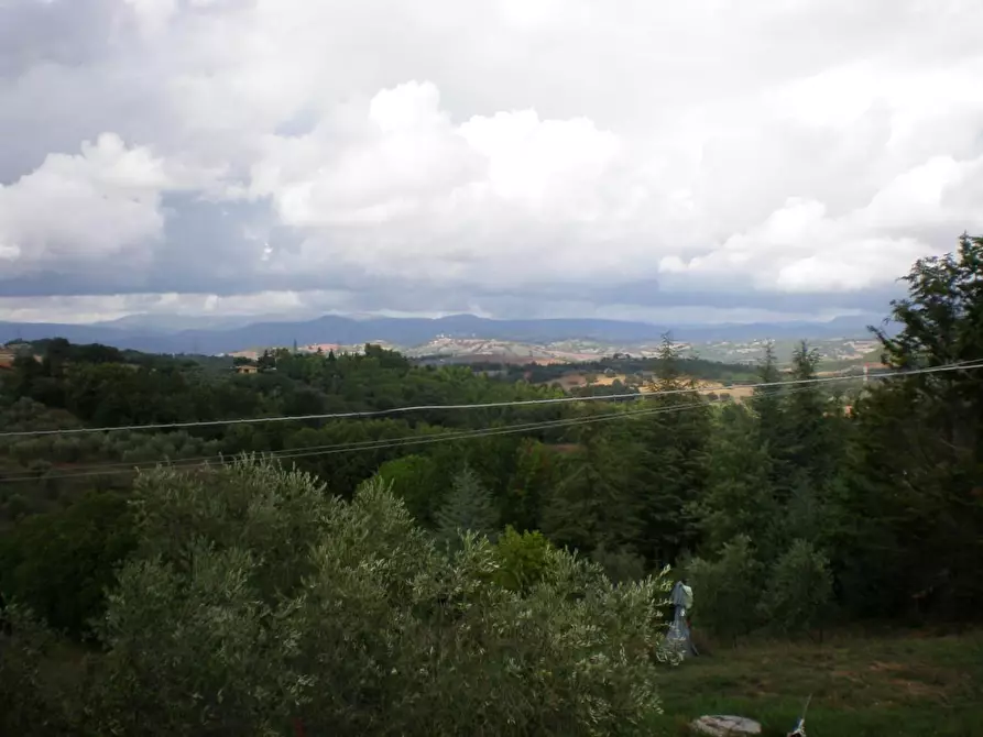 Immagine 7 di Casa indipendente in vendita  a Manciano