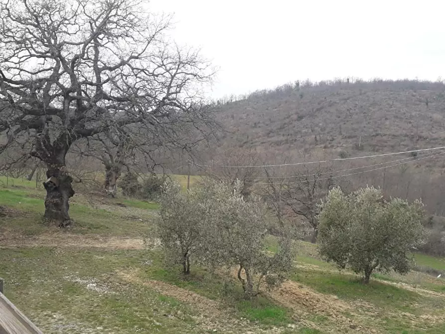 Immagine 8 di Casa indipendente in vendita  a Manciano