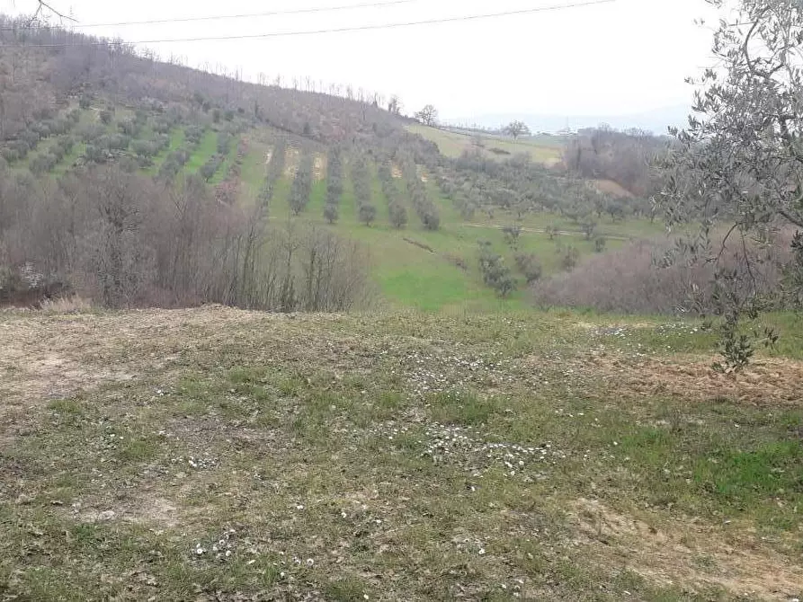 Immagine 23 di Casa indipendente in vendita  a Manciano