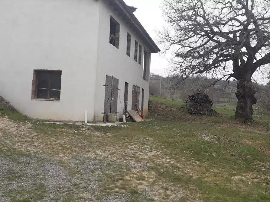 Immagine 10 di Casa indipendente in vendita  a Manciano