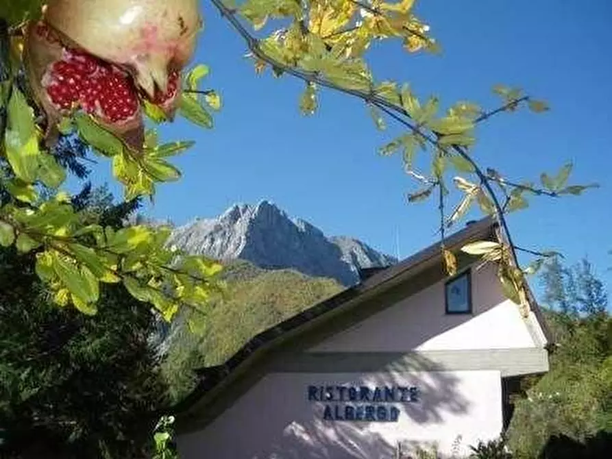 Immagine 4 di Albergo/B&B/Residence in vendita  a Vagli Sotto