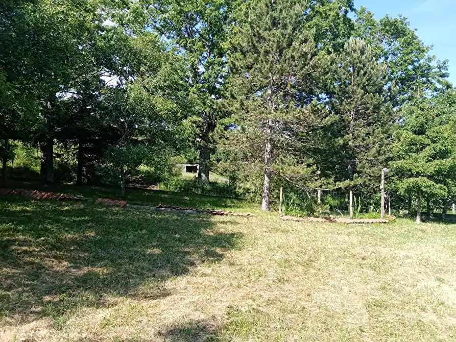 Immagine 10 di Villa in vendita  a Fivizzano