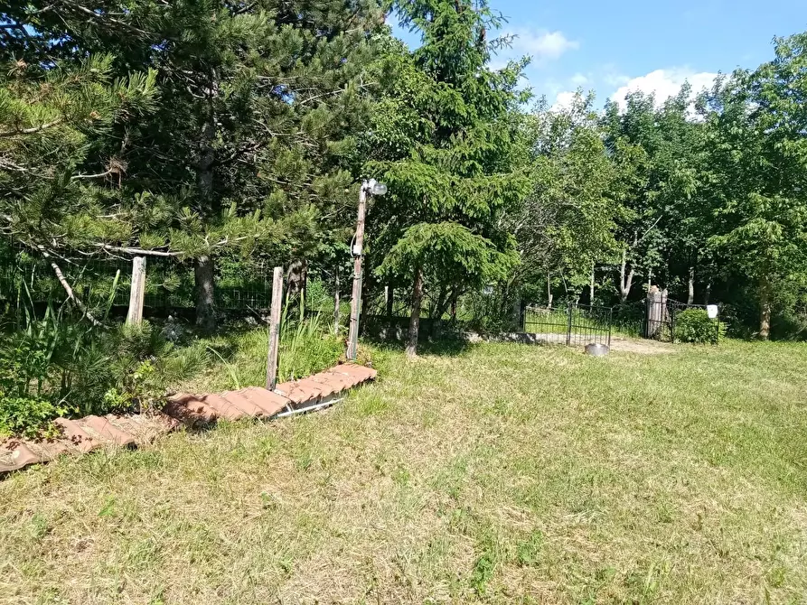 Immagine 3 di Villa in vendita  a Fivizzano