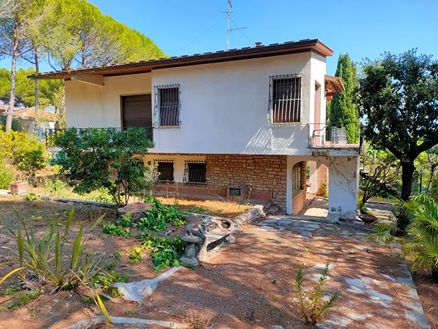 Immagine 8 di Villa in vendita  a Rosignano Marittimo