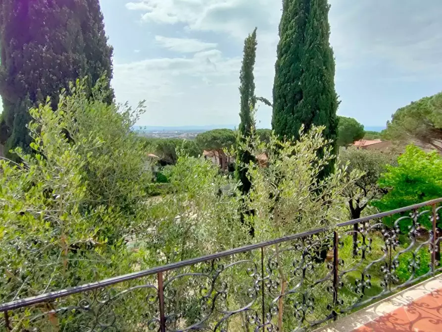 Immagine 9 di Villa in vendita  a Rosignano Marittimo