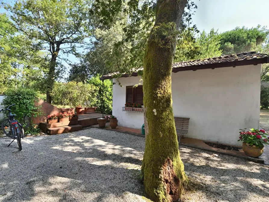 Immagine 5 di Casa bifamiliare in vendita  a Massa