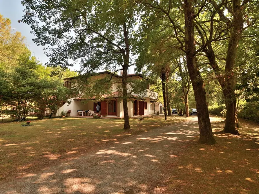 Immagine 8 di Casa bifamiliare in vendita  a Massa