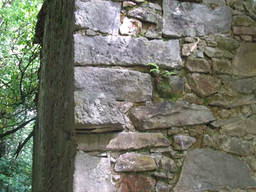 Immagine 22 di Rustico / casale in vendita  a Borgo A Mozzano